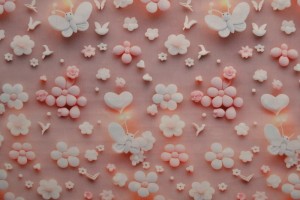 Cotton poplin print digital 81-1