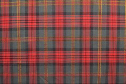 Tartan cotton 17-4