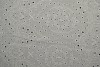 Cotton embroidery 02