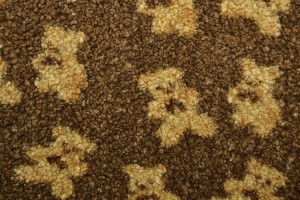 teddy fur print 01-2 teddy