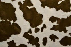faux fur print 01-08