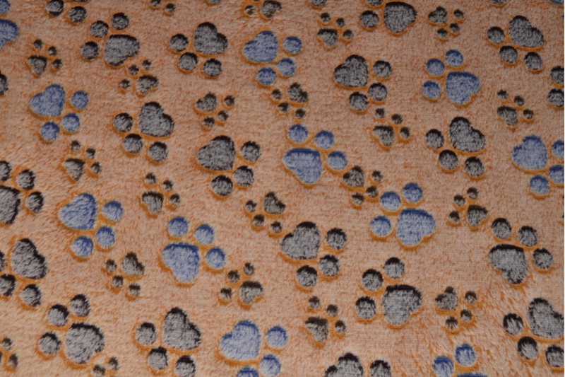 Coral fleece print 82-02