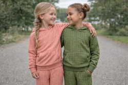 Baumwolljersey ''Checks Collection'' 1cm