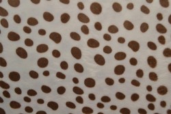 Coral fleece print 187-01