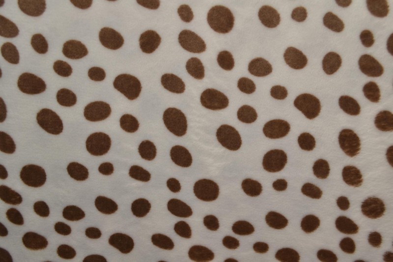 Coral fleece print 187-01