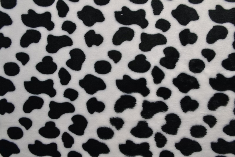 Coral fleece print 190-01