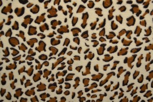 Coral fleece print 195-01