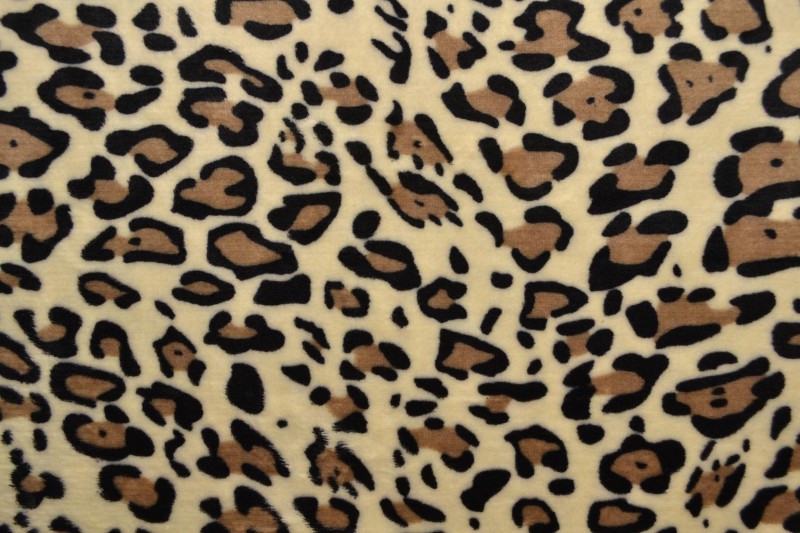 Coral fleece print 195-05
