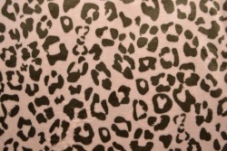 Coral fleece print 191-01