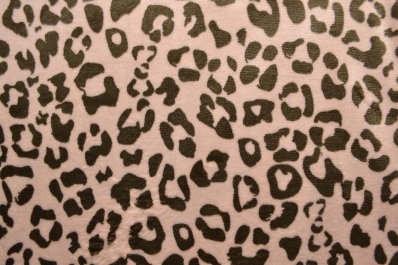 Coral fleece print 191-01