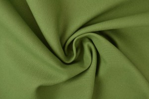 Canvas 31 moosgrün
