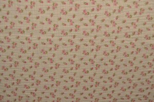 Muslin print 10-22