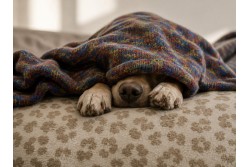 Polar Fleece mit Motiven