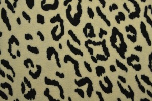 teddy fur print 03-1