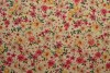 Cotton print 3002-04
