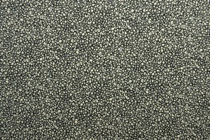 Cotton print 8352-02