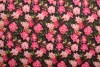 Cotton print YB015-01
