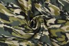 Cotton print 9466-01