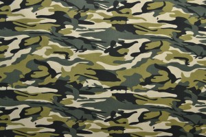 Cotton print 9466-01