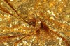 Pailletten 01 gold